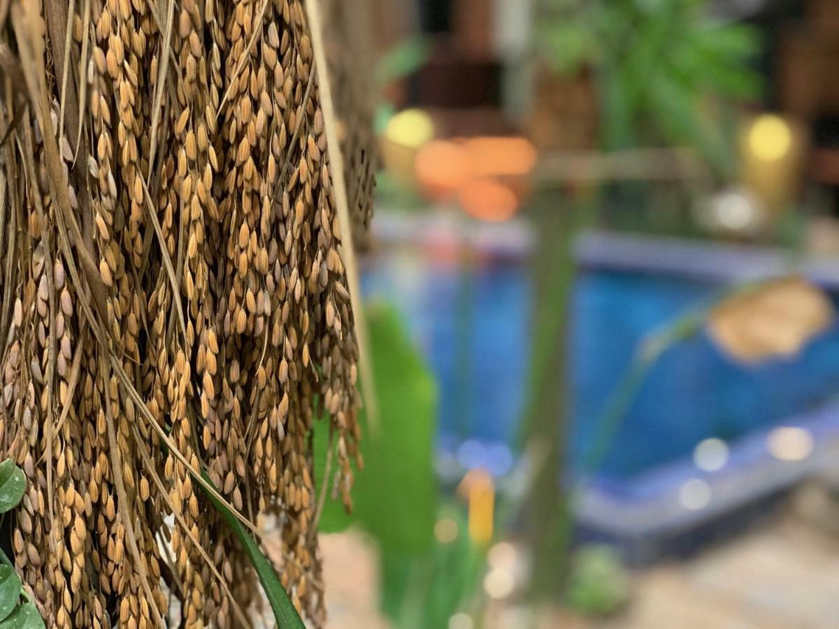 Petit Villa Boutique & Spa Sziemreap Kültér fotó